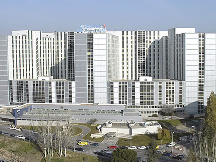 envio flores hospital ramon cajal madrid 1